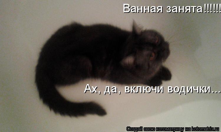 Котоматрица: Ванная занята!!!!!!! Ах, да, включи водички....