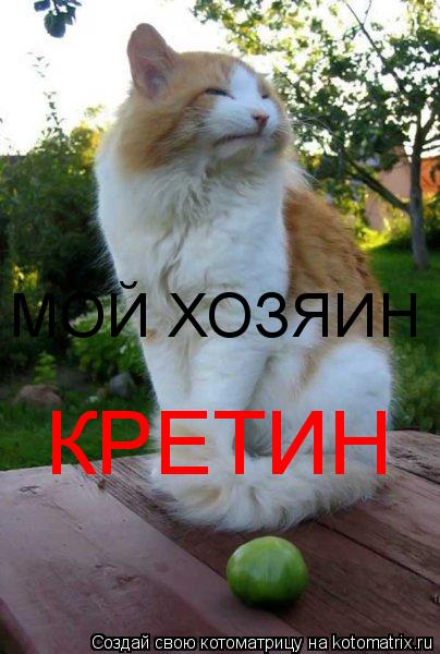 Котоматрица: МОЙ ХОЗЯИН КРЕТИН