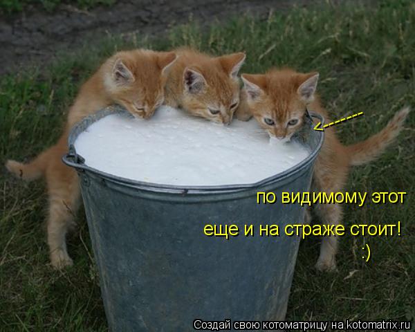 Котоматрица: по видимому этот еще и на страже стоит! <------- :)