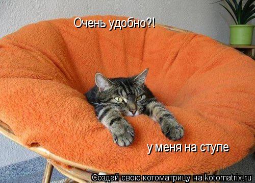Котоматрица: Очень удобно?! у меня на стуле