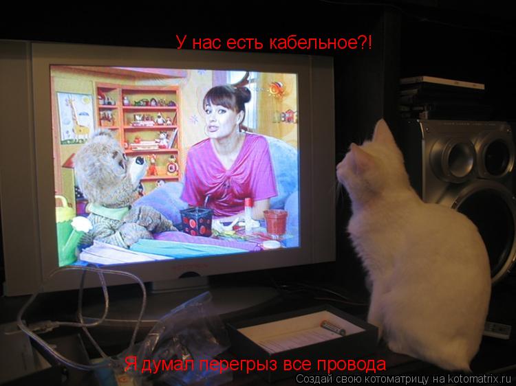 Котоматрица: У нас есть кабельное?!  Я думал перегрыз все провода