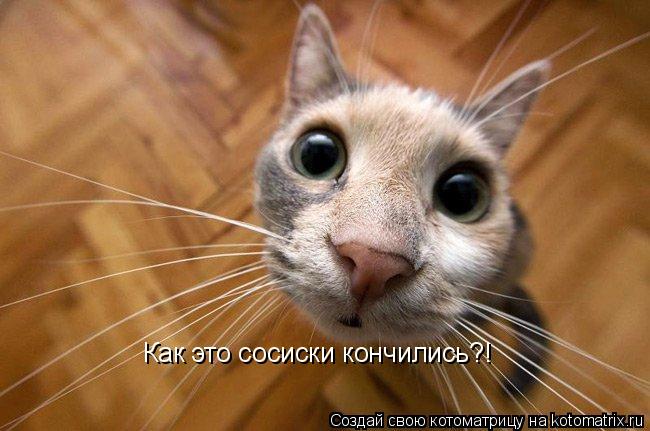 Котоматрица: Как это сосиски кончились?!
