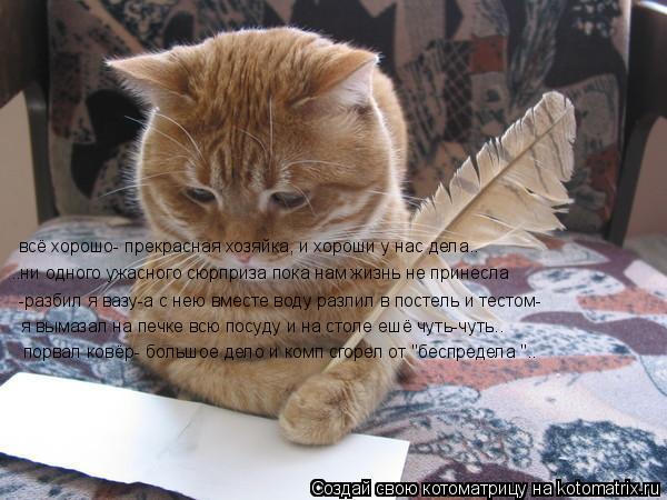 Котоматрица: всё хорошо- прекрасная хозяйка, и хороши у нас дела.. ..ни одного ужасного сюрприза пока нам жизнь не принесла -разбил я вазу-а с нею вместе во