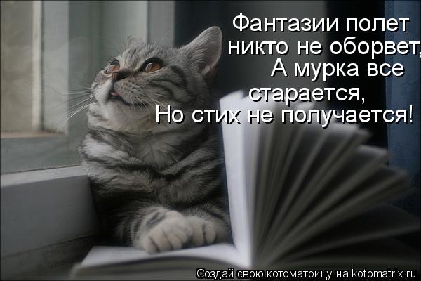 Котоматрица: Фантазии полет  никто не оборвет, А мурка все  старается, Но стих не получается!