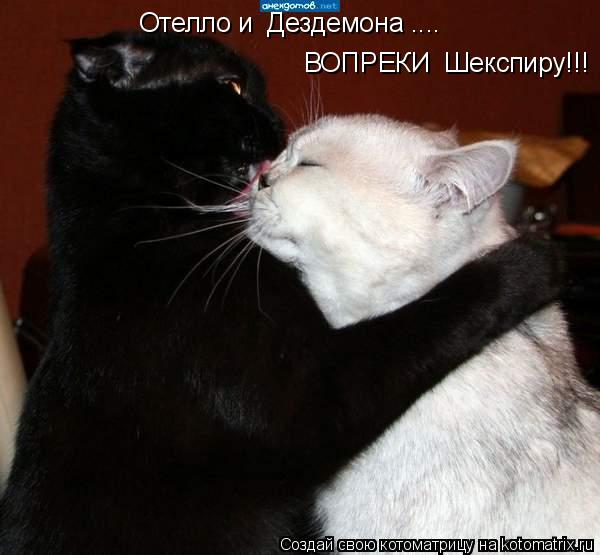 Котоматрица: Отелло и  Дездемона .... ВОПРЕКИ  Шекспиру!!!