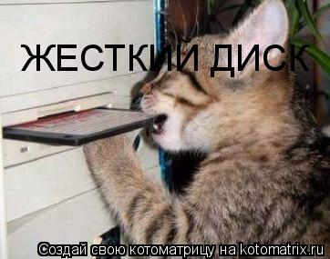 Котоматрица: ЖЕСТКИЙ ДИСК