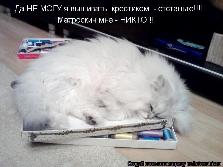 Да НЕ МОГУ я вышивать крестиком - отстаньте!!!! Матроскин мне - НИКТО!!!... Котоматрица: Да НЕ МОГУ я вышивать крестиком - отстаньте!!!! Матроскин мне - НИКТО!!!