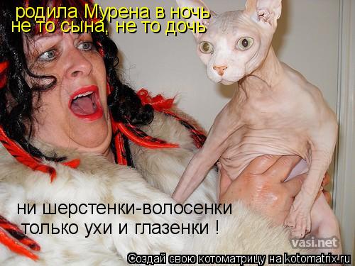 Котоматрица: родила Мурена в ночь не то сына, не то дочь ни шерстенки-волосенки только ухи и глазенки !