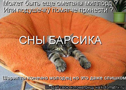 Котоматрица: Может быть еще сметаны миллорд ? Или подушечку помягче принести ? Шарик ты конечно молодец но это даже слишком СНЫ БАРСИКА