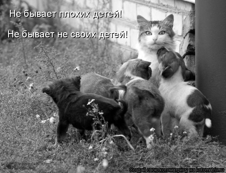 Котоматрица: Не бывает плохих детей! Не бывает не своих детей!