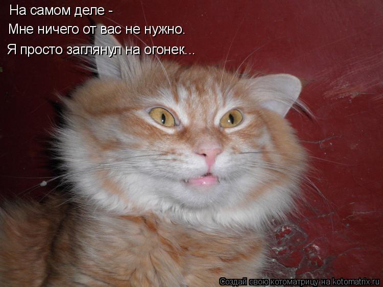 Котоматрица: На самом деле - Мне ничего от вас не нужно. Я просто заглянул на огонек...