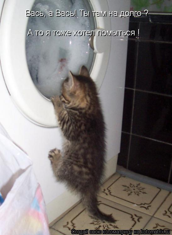 Котоматрица: Вась, а Вась! Ты там на долго  Вась, а Вась! Ты там на долго ? А то я тоже хотел помыться !