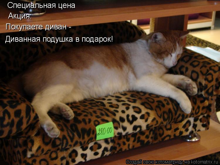 Котоматрица: Специальная цена Акция: Покупаете диван - Диванная подушка в подарок!