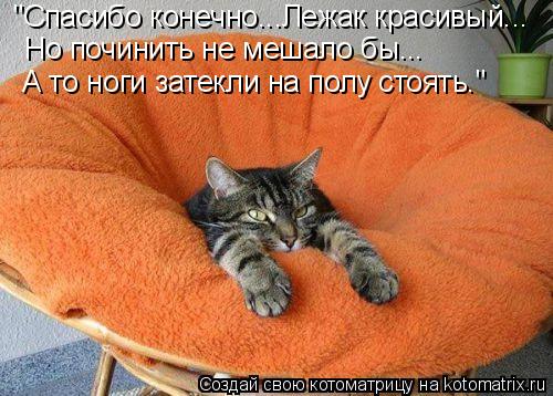 Котоматрица: "Спасибо конечно...Лежак красивый... Но починить не мешало бы...  А то ноги затекли на полу стоять."