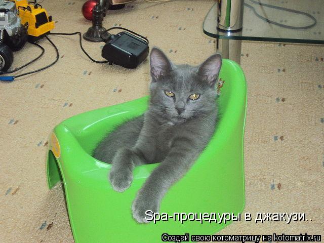 Котоматрица: Spa-процедуры в джакузи..