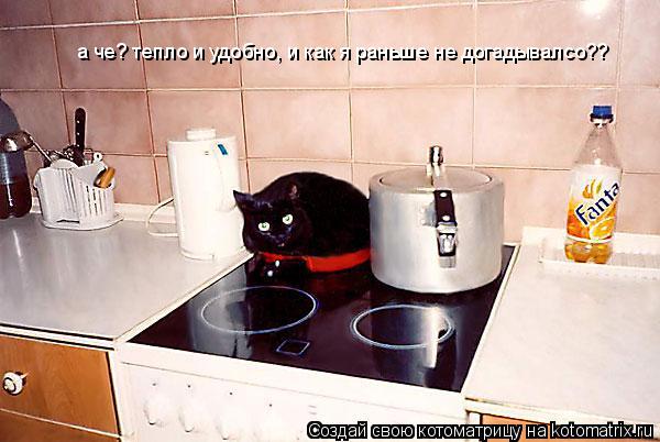Котоматрица: а че? тепло и удобно, и как я раньше не догадывалсо??