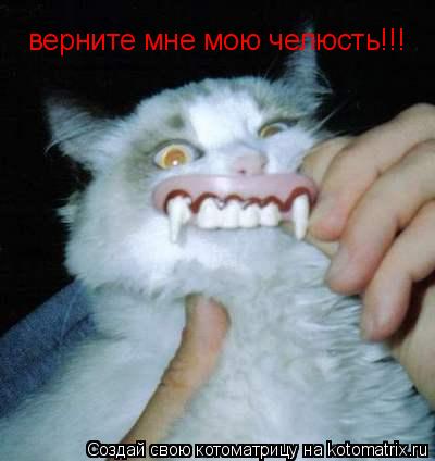 верните мне мою челюсть!!!... Котоматрица: верните мне мою челюсть!!!