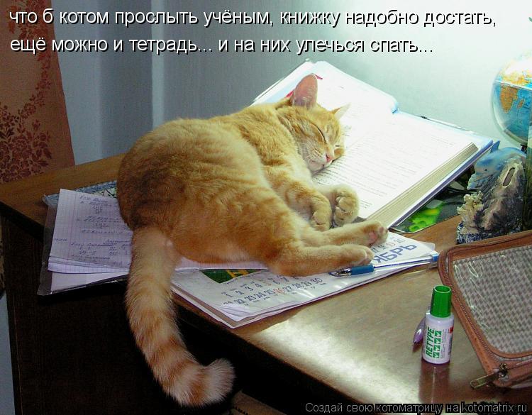 Котоматрица: что б котом прослыть учёным, книжку надобно достать, ещё можно и тетрадь... и на них улечься спать...