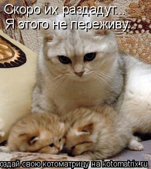 Котоматрица: Скоро их раздадут... Я этого не переживу...