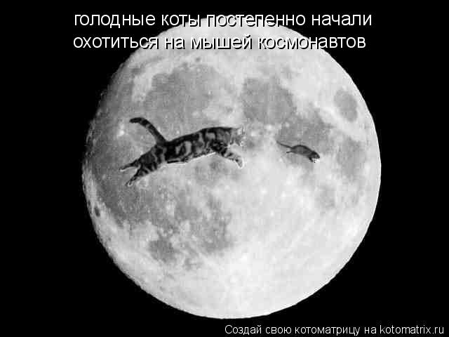 Котоматрица: голодные коты постепенно начали  голодные коты постепенно начали  охотиться на мышей космонавтов