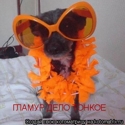 Котоматрица: ГЛАМУР ДЕЛО ТОНКОЕ