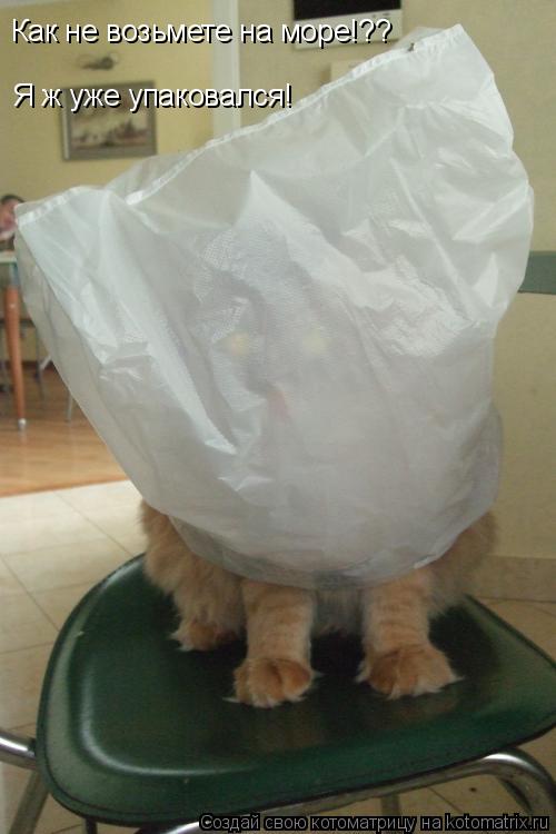 Котоматрица: Как не возьмете на море!?? Я ж уже упаковался!