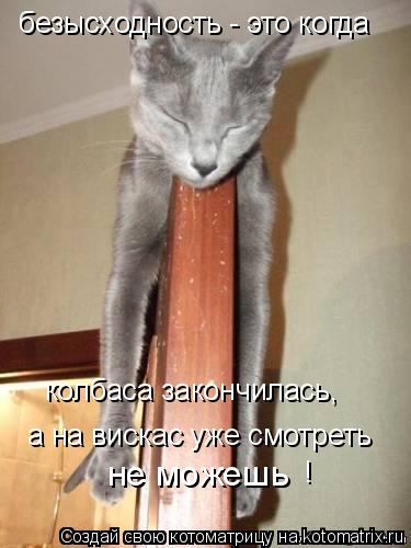 Котоматрица: безысходность - это когда а на вискас уже смотреть  не можешь колбаса закончилась, !