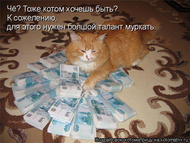 Котоматрица: Чё? К сожелению, для этого нужен болшой талант муркать. Тоже котом хочешь быть?