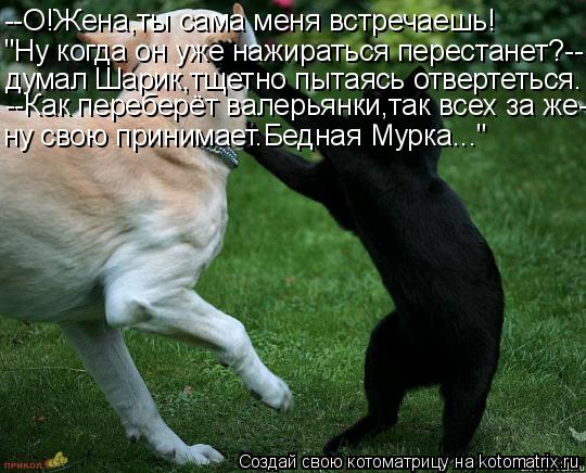 --О!Жена,ты сама меня встречаешь! "Ну когда он уже нажираться перестанет?-- думал Шарик,тщетно пытаяс... Котоматрица: --О!Жена,ты сама меня встречаешь! "Ну когда он уже нажираться перестанет?-- думал Шарик,тщетно пытаясь отвертеться. --Как переберёт валерьянки