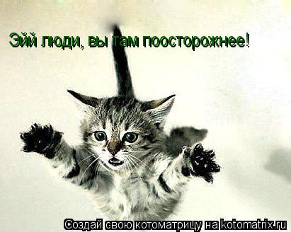 Эйй люди, вы там поосторожнее!... Котоматрица: Эйй люди, вы там поосторожнее!