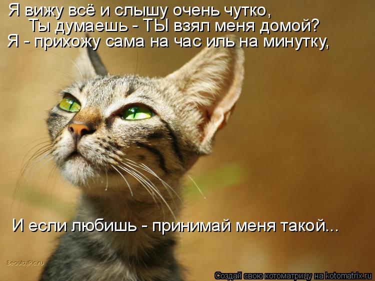 Я вижу всё и слышу очень чутко, Ты думаешь - ТЫ взял меня домой? Я - прихожу сама на час иль на минут... Котоматрица: Я вижу всё и слышу очень чутко, Ты думаешь - ТЫ взял меня домой? Я - прихожу сама на час иль на минутку, И если любишь - принимай меня такой...