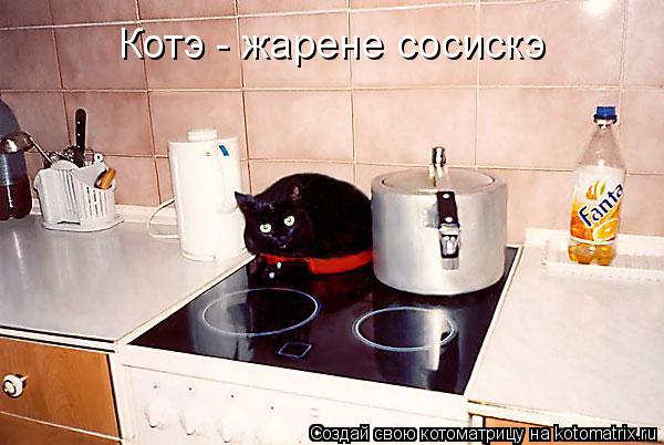 Котэ - жарене сосискэ... Котоматрица: Котэ - жарене сосискэ