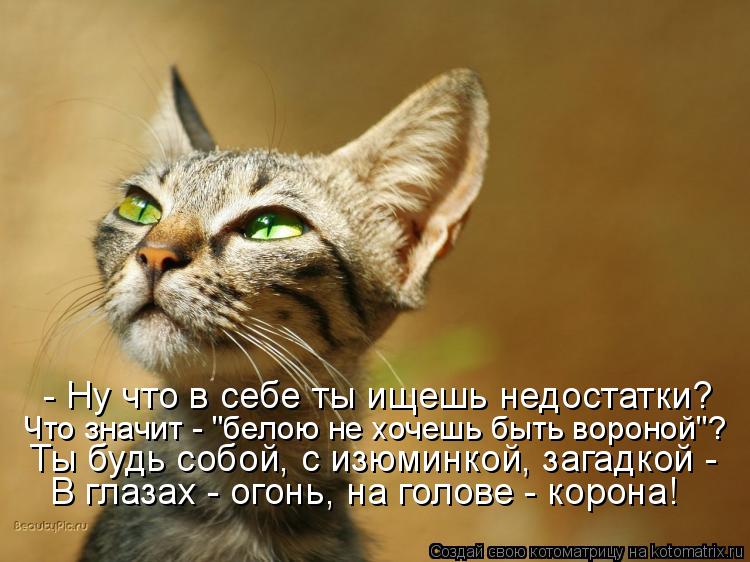 - Ну что в себе ты ищешь недостатки? Что значит - "белою не хочешь быть вороной"? Ты будь собой, с из... Котоматрица: - Ну что в себе ты ищешь недостатки? Что значит - "белою не хочешь быть вороной"? Ты будь собой, с изюминкой, загадкой - В глазах - огонь, на голо