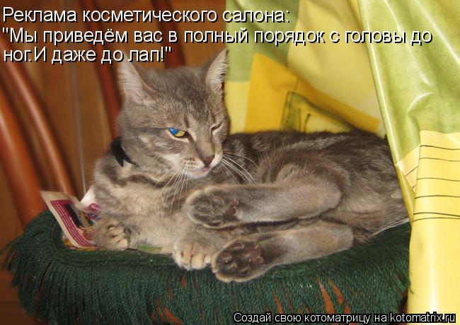 Реклама косметического салона: "Мы приведём вас в полный порядок с головы до ног.И даже до лап!"... Котоматрица: Реклама косметического салона: "Мы приведём вас в полный порядок с головы до ног.И даже до лап!"