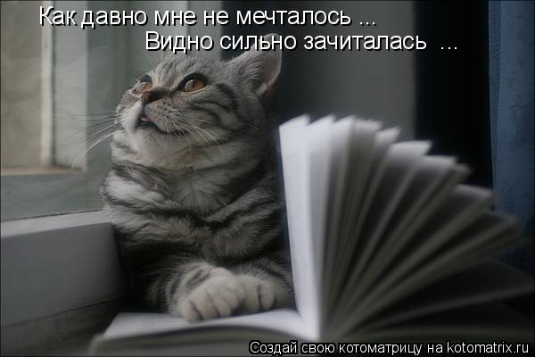 Как давно мне не мечталось ... Видно сильно зачиталась ...... Котоматрица: Как давно мне не мечталось ... Видно сильно зачиталась ...