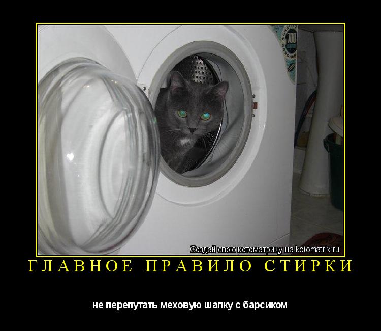 Котоматрица: Главное правило стирки не перепутать меховую шапку с барсиком