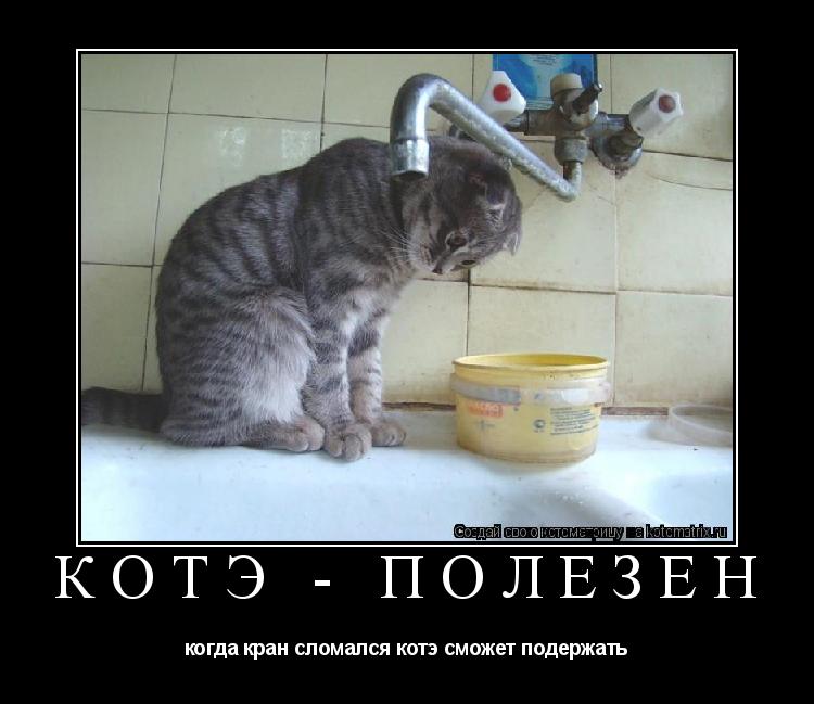 Котоматрица: котэ - полезен когда кран сломался котэ сможет подержать