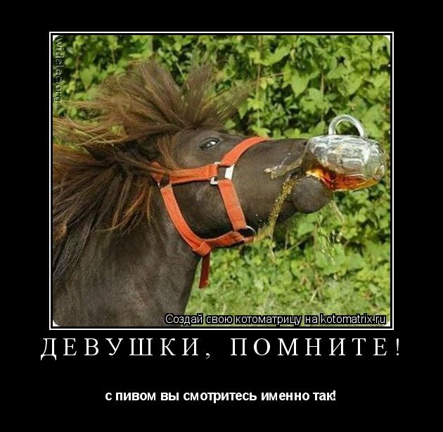 девушки, помните! с пивом вы смотритесь именно так!... Котоматрица: девушки, помните! с пивом вы смотритесь именно так!
