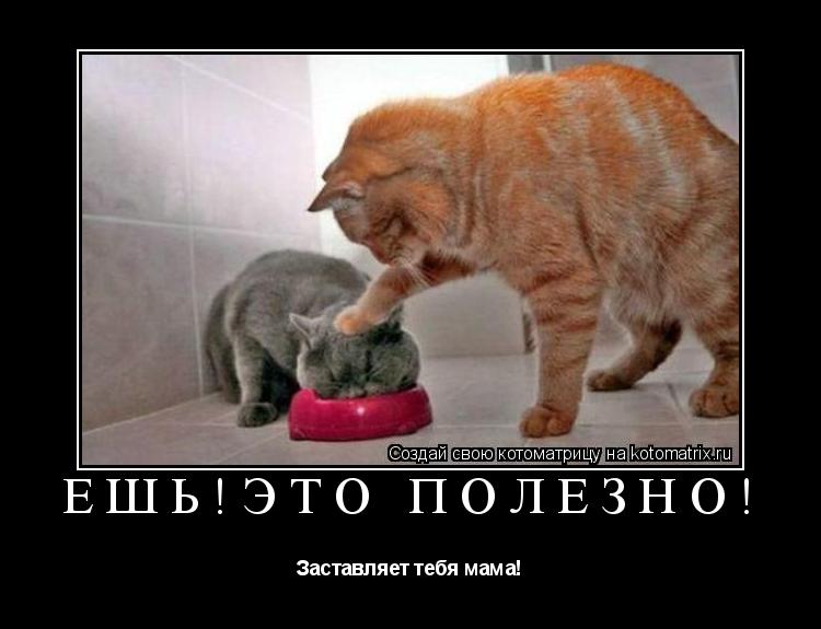 ЕШЬ!ЭТО ПОЛЕЗНО! Заставляет тебя мама!... Котоматрица: ЕШЬ!ЭТО ПОЛЕЗНО! Заставляет тебя мама!