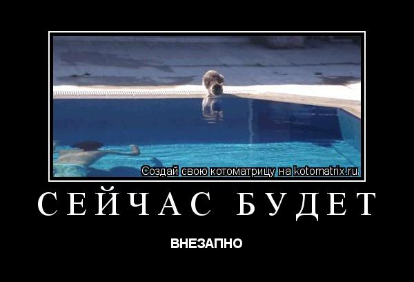 сейчас будет ВНЕЗАПНО... Котоматрица: сейчас будет ВНЕЗАПНО