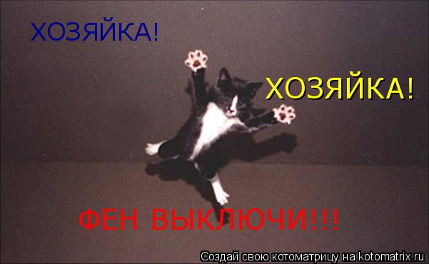 ХОЗЯЙКА! ФЕН ВЫКЛЮЧИ!!! ХОЗЯЙКА!... Котоматрица: ХОЗЯЙКА! ФЕН ВЫКЛЮЧИ!!! ХОЗЯЙКА!