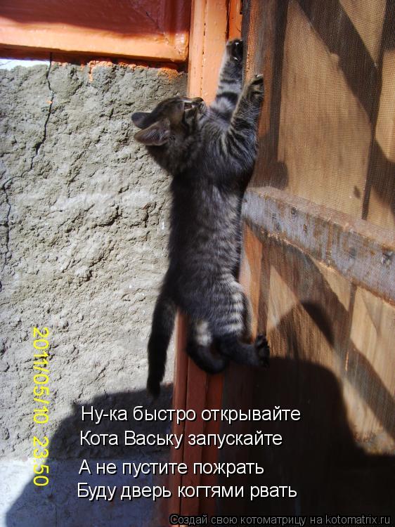 Ну-ка быстро открывайте Кота Ваську запускайте А не пустите пожрать Буду дверь когтями рвать... Котоматрица: Ну-ка быстро открывайте Кота Ваську запускайте А не пустите пожрать Буду дверь когтями рвать