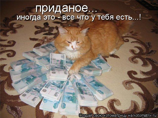 приданое... иногда это - все что у тебя есть...!... Котоматрица: приданое... иногда это - все что у тебя есть...!