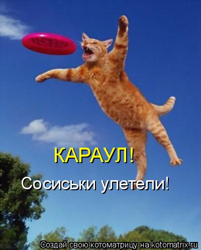 КАРАУЛ! Сосиськи улетели!... Котоматрица: КАРАУЛ! Сосиськи улетели!
