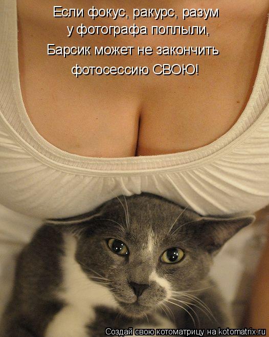 Если фокус, ракурс, разум у фотографа поплыли, Барсик может не закончить фотосессию СВОЮ!... Котоматрица: Если фокус, ракурс, разум у фотографа поплыли, Барсик может не закончить фотосессию СВОЮ!