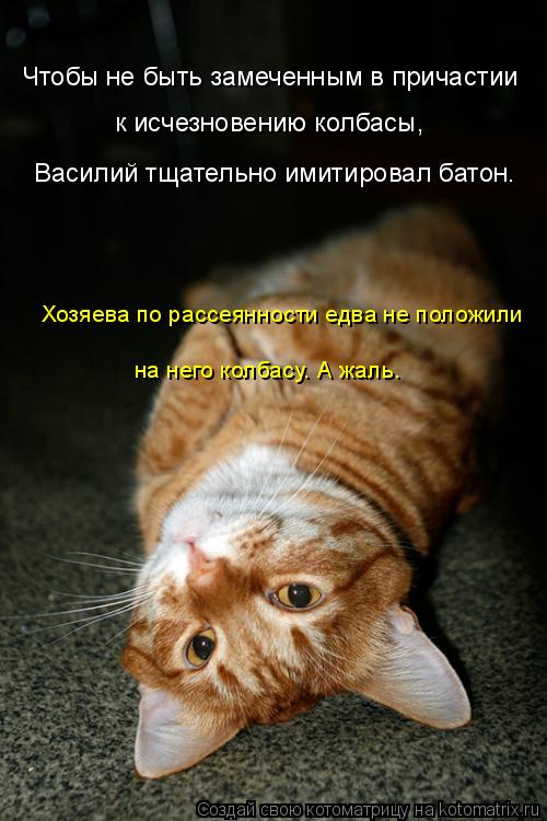 Чтобы не быть замеченным в причастии к исчезновению колбасы, Василий тщательно имитировал батон. Хозя... Котоматрица: Чтобы не быть замеченным в причастии к исчезновению колбасы, Василий тщательно имитировал батон. Хозяева по рассеянности едва не положили