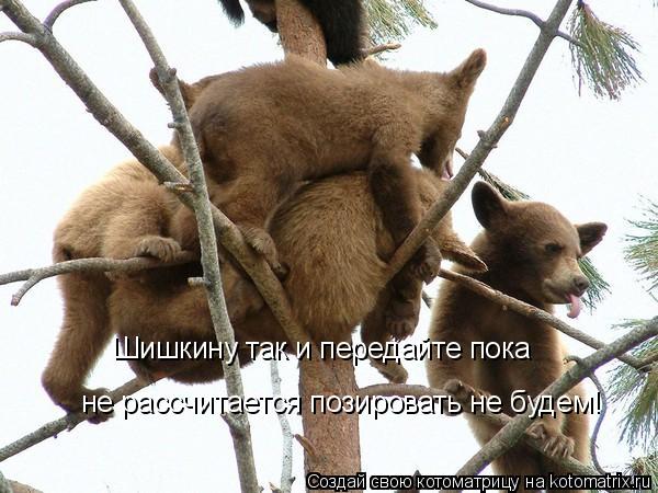 Шишкину так и передайте пока не рассчитается позировать не будем!... Котоматрица: Шишкину так и передайте пока не рассчитается позировать не будем!