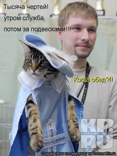 Тысяча чертей! потом за подвесками!!! утром служба, Когда обед?!!... Котоматрица: Тысяча чертей! потом за подвесками!!! утром служба, Когда обед?!!