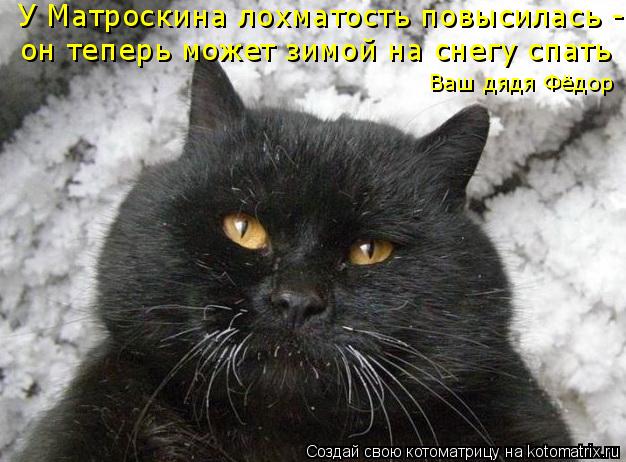 У Матроскина лохматость повысилась - он теперь может зимой на снегу спать Ваш дядя Фёдор... Котоматрица: У Матроскина лохматость повысилась - он теперь может зимой на снегу спать Ваш дядя Фёдор