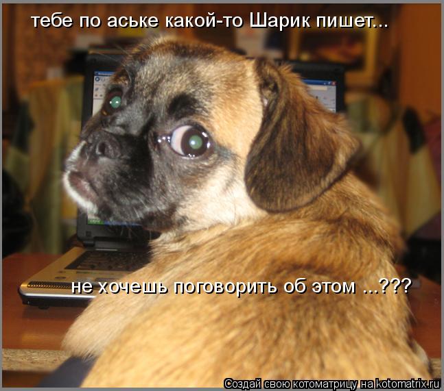 тебе по аське какой-то Шарик пишет... не хочешь поговорить об этом ...???... Котоматрица: тебе по аське какой-то Шарик пишет... не хочешь поговорить об этом ...???